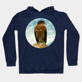 Sparrow hawk Hoodie